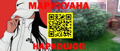 сатива Кунгур